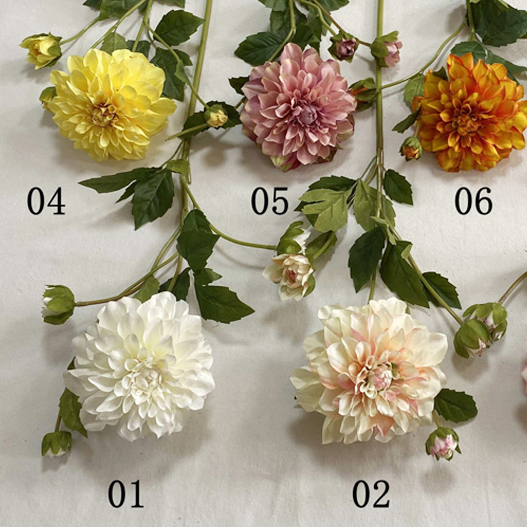 Exquise Nep-Dahlia Bloemsteel