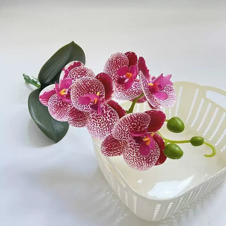 Realistische Nep Orchidee Arrangement