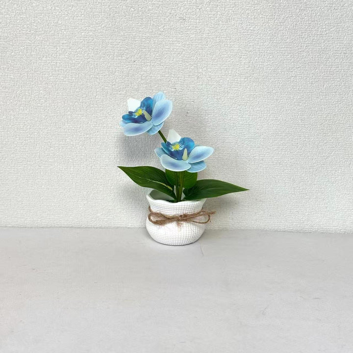 Decoratieve Potplant Orchidee Arrangement voor Binnengebruik