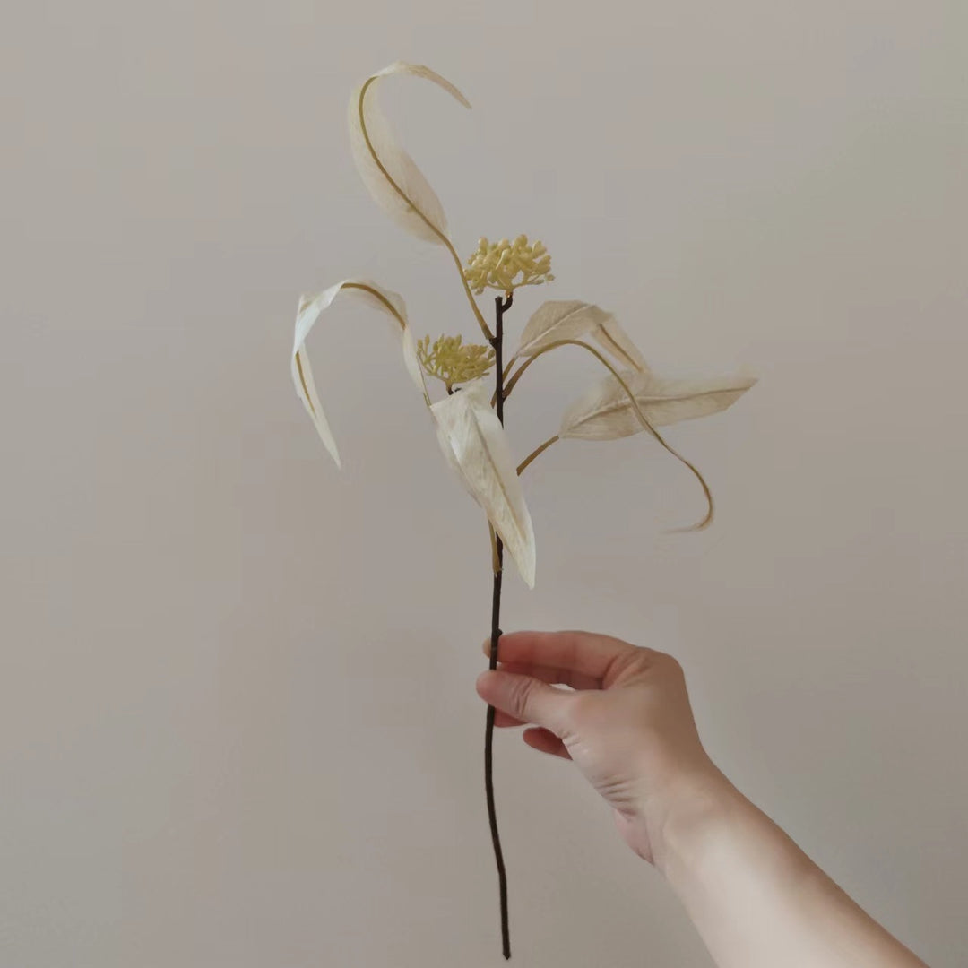 Natuurlijk Gedroogde Bloemenstengel