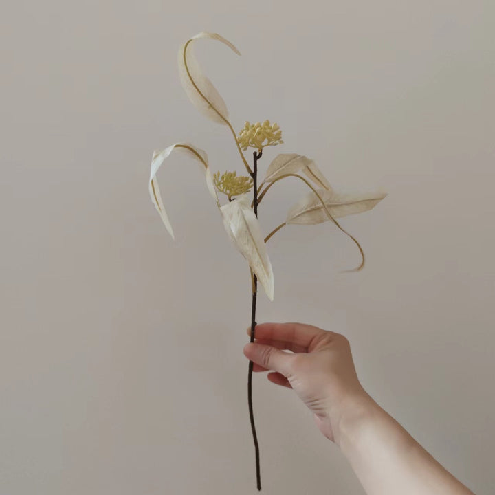 Natuurlijk Gedroogde Bloemenstengel