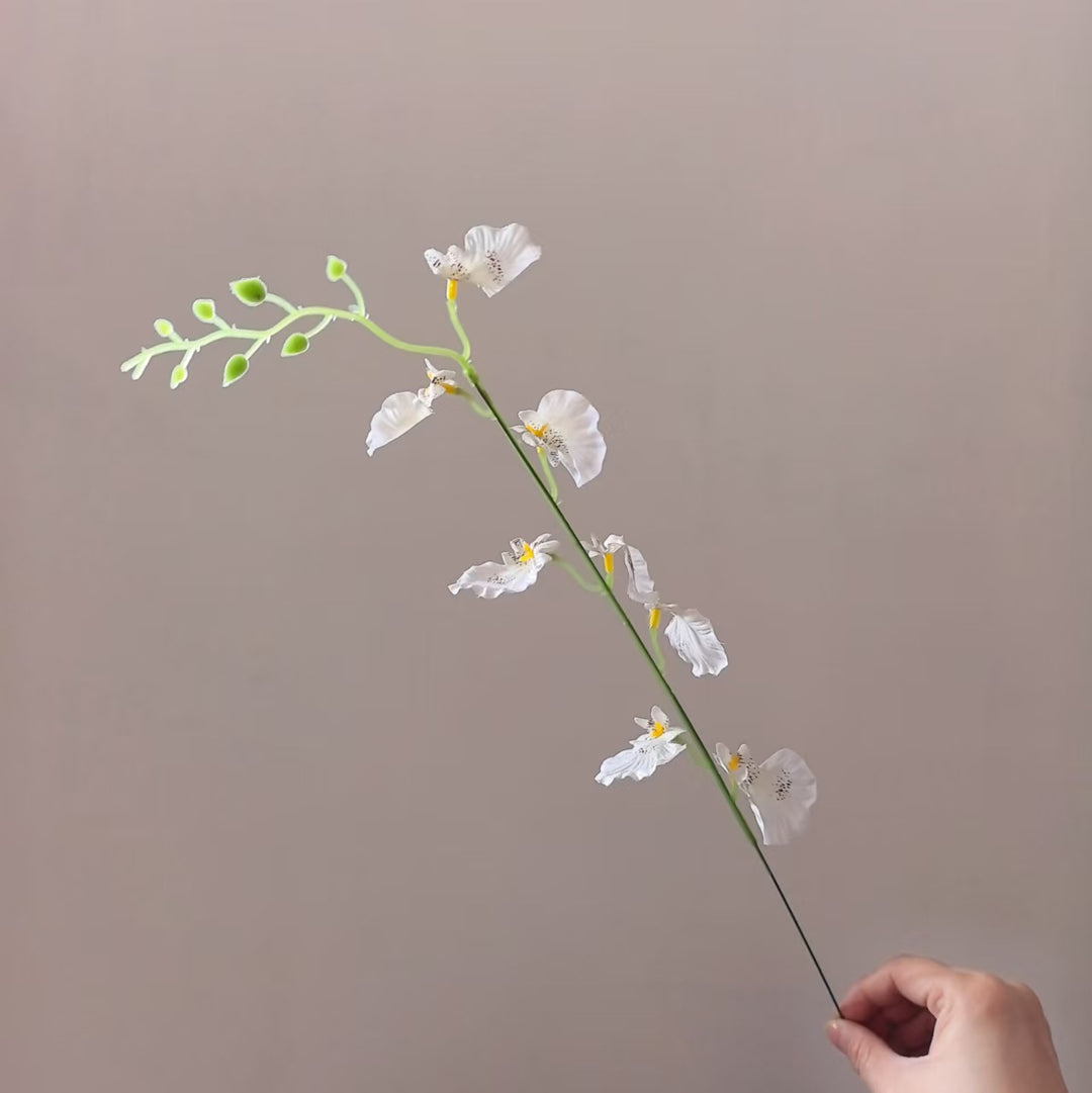 Decoratieve Orchidee Steel