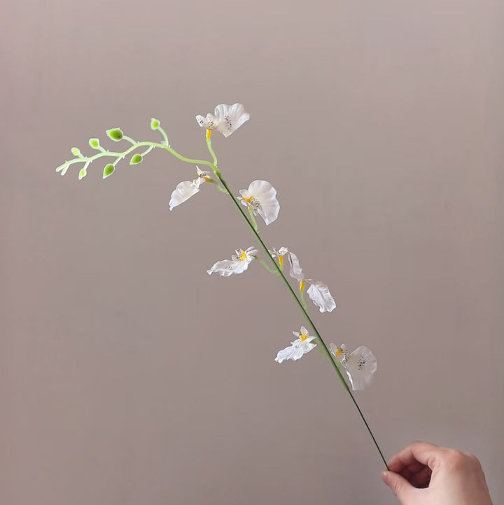 Decoratieve Orchidee Steel