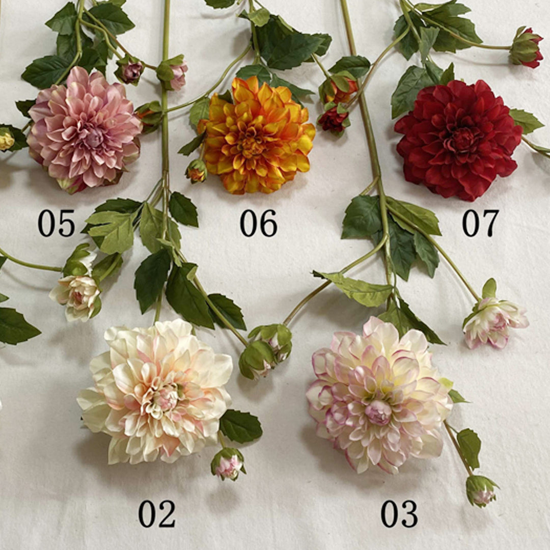Exquise Nep-Dahlia Bloemsteel