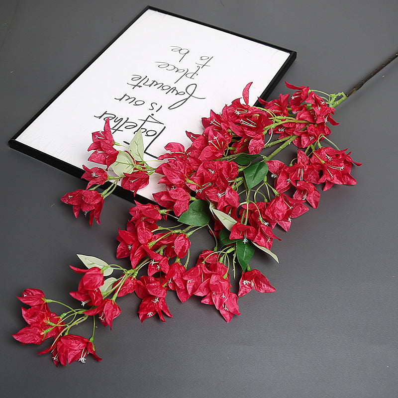 Bougainvillea Bloemenstam voor Thuisdecoratie Display