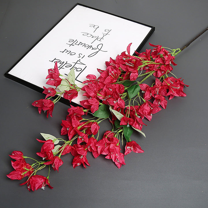 Bougainvillea Bloemenstam voor Thuisdecoratie Display