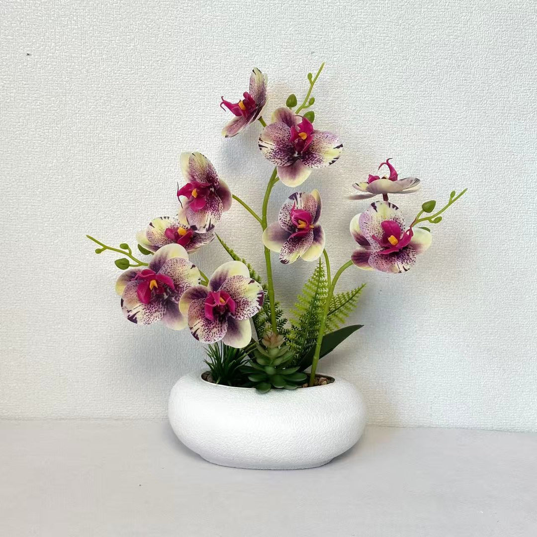 Decoratieve Neporchidee