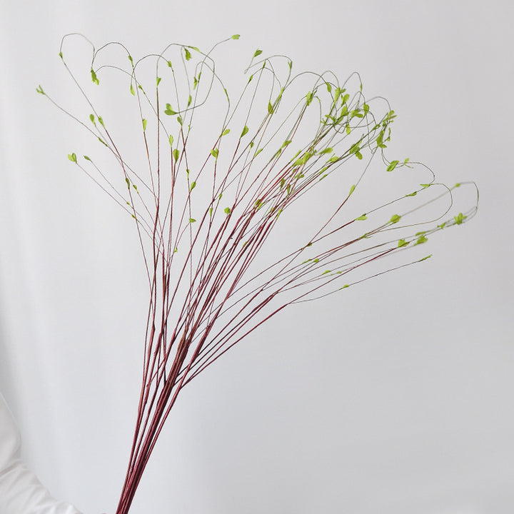 Naturalistische Decoratieve Steel