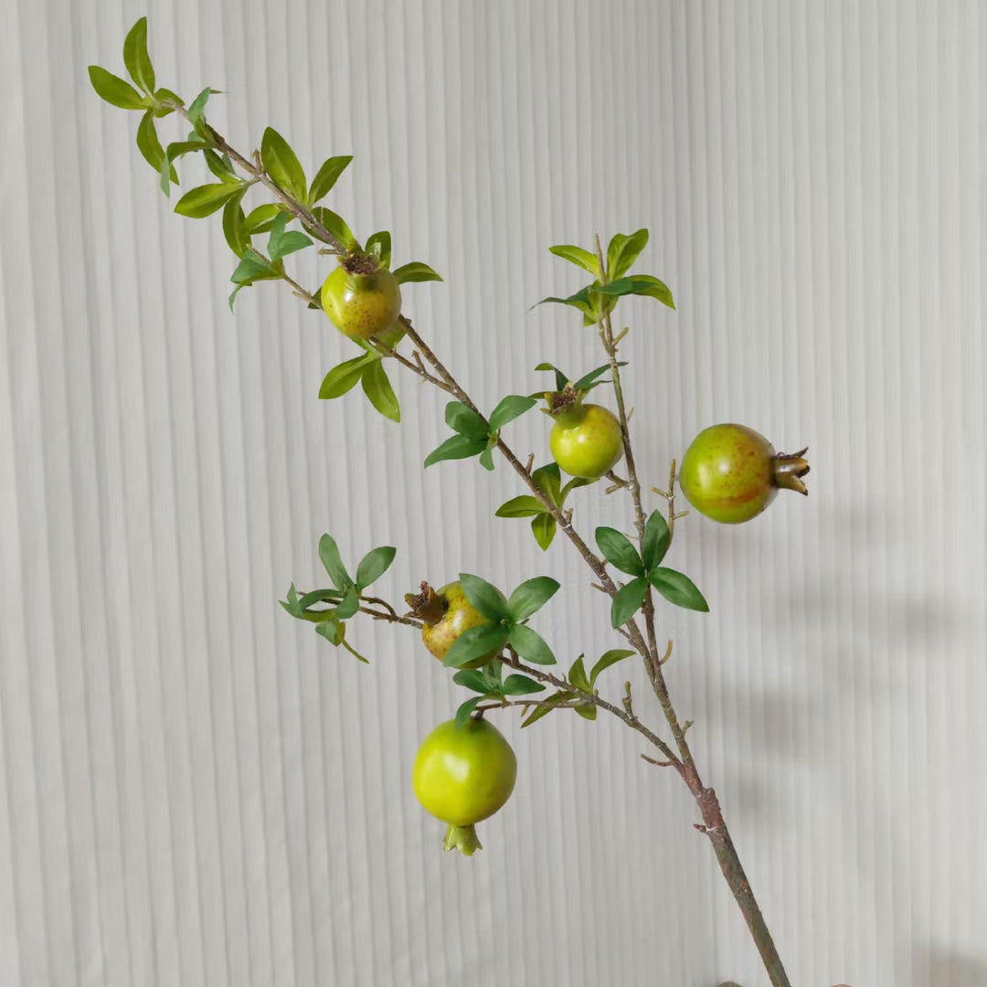 Decoratieve Granaatappel Tak
