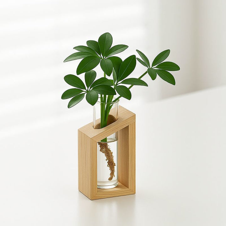 Elegante Glazen Plantenhouder Set voor Thuisdecoratie