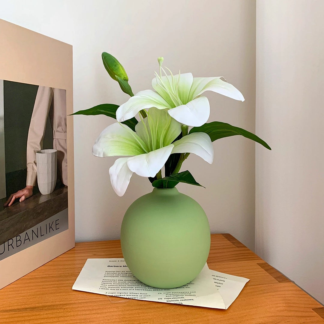 Elegante Decoratieve Bloemvaas voor Binnenhuisdecoratie