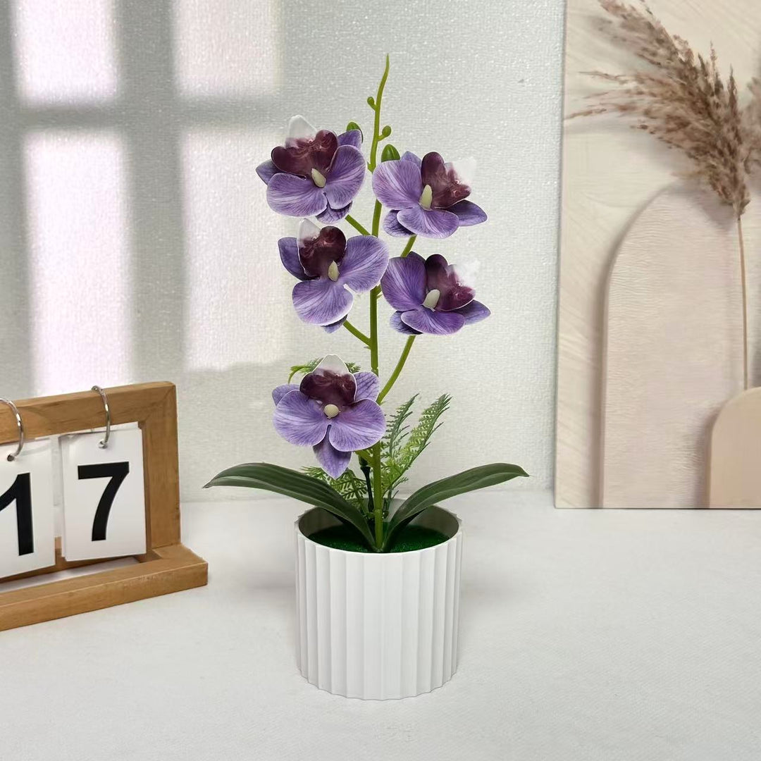 Nep Orchidee Arrangement voor Binnenhuisdecoratie