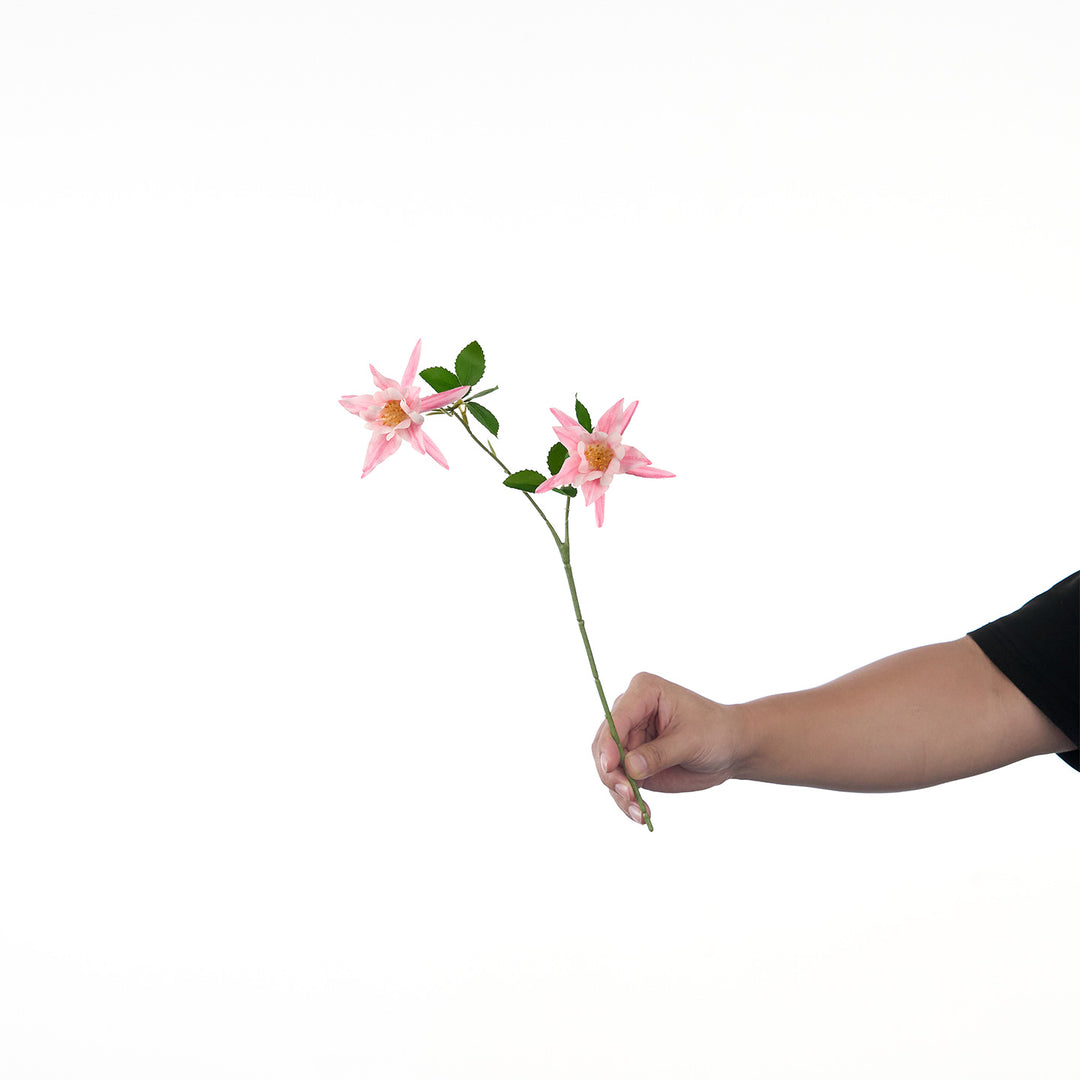 Levendige Multi-Bloom Bloemstengel