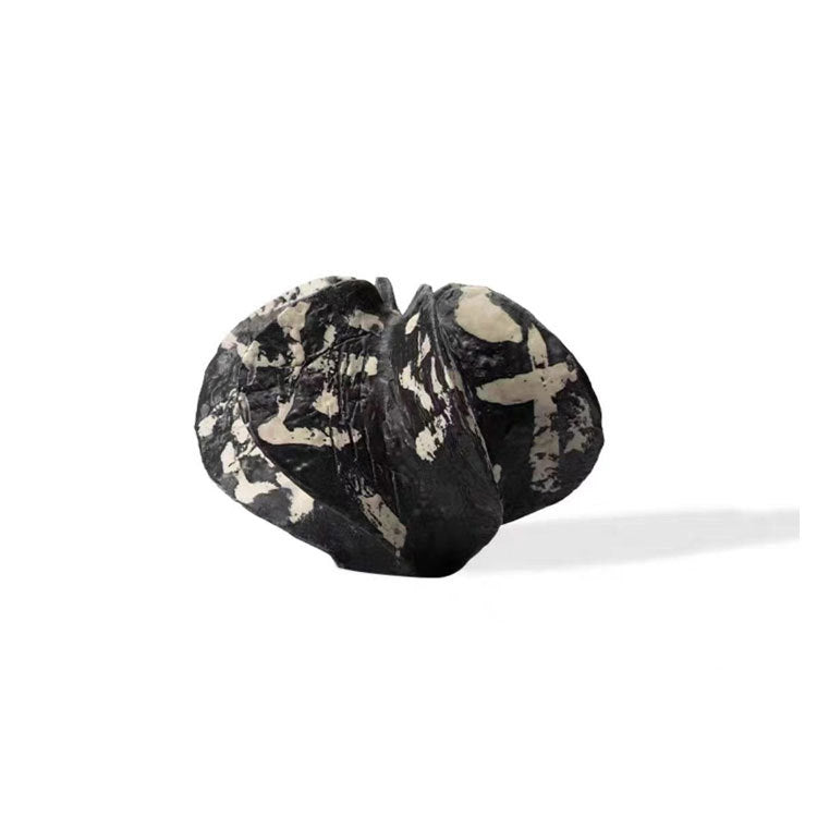 Abstract Artistiek Decoratief