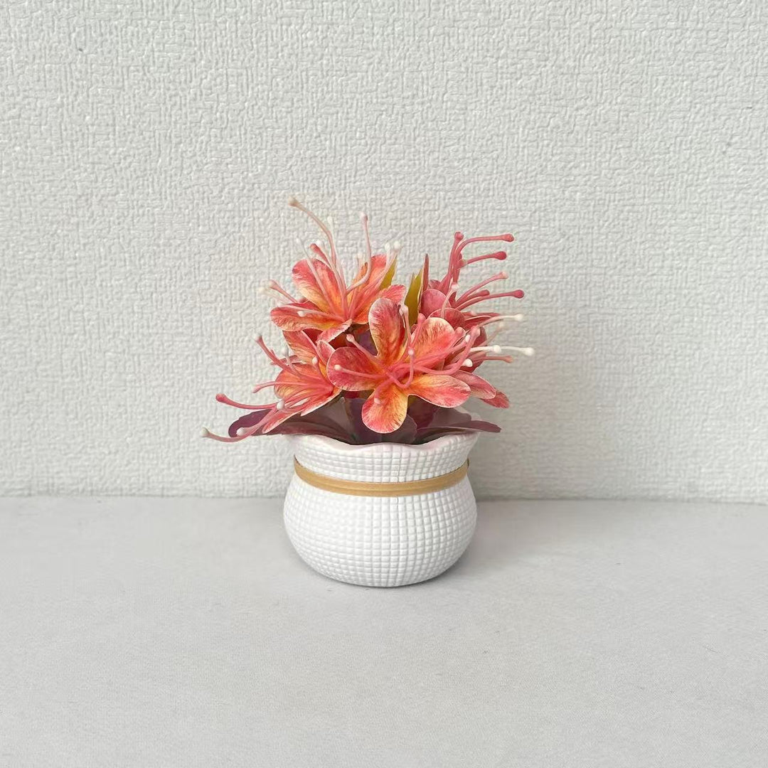 Decoratieve Bloemdisplay voor Woondecoratie Display