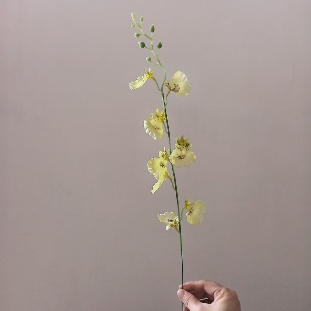 Decoratieve Orchidee Steel