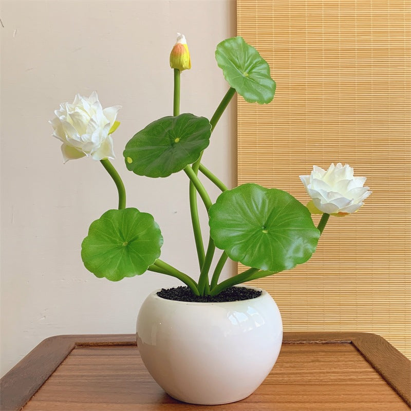 Decoratieve Lotus Bloem Arrangements