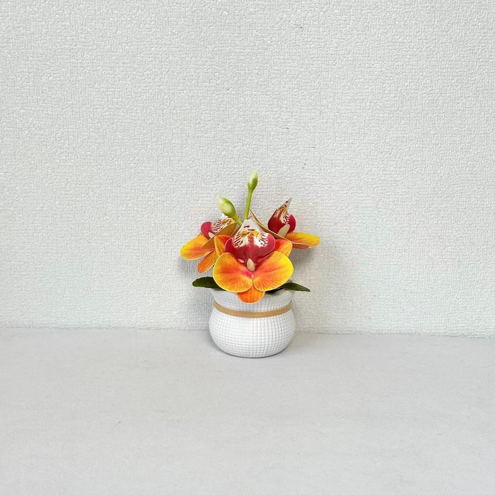 Decoratieve Potted Orchidee Arrangement voor Huishouddecoratie