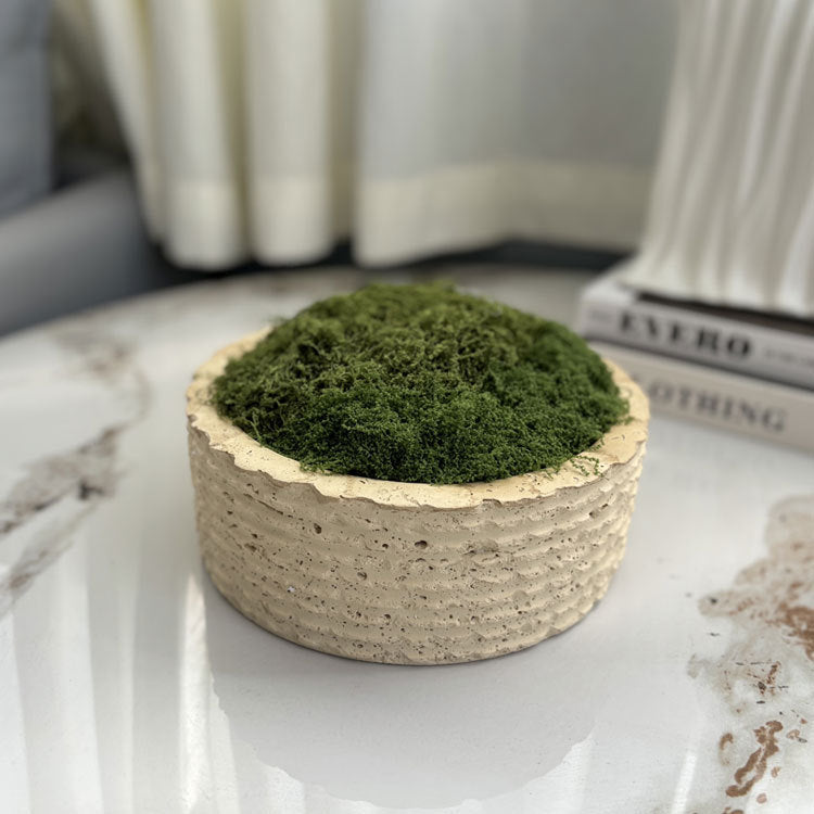 Geometrisch Decoratieve Groene Planten Schaal
