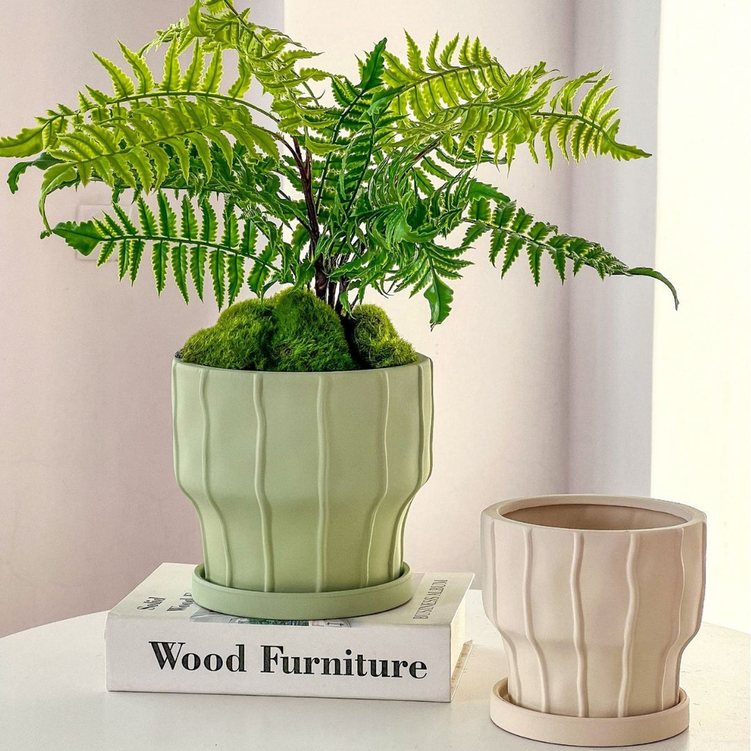 Elegante Plantpot voor Mooie Binnenplant Displays