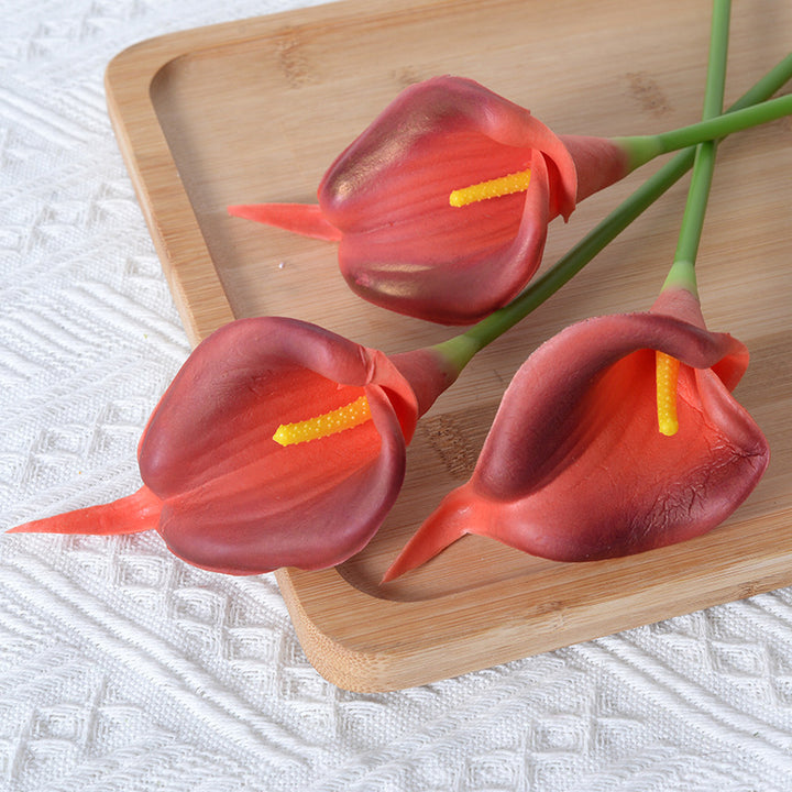 Decoratieve Realistische Calla Lelie Stelen
