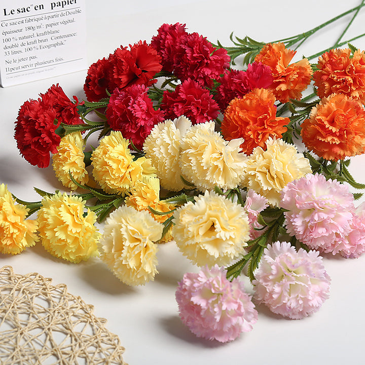 Realistische Bloemen Anjers Boeket