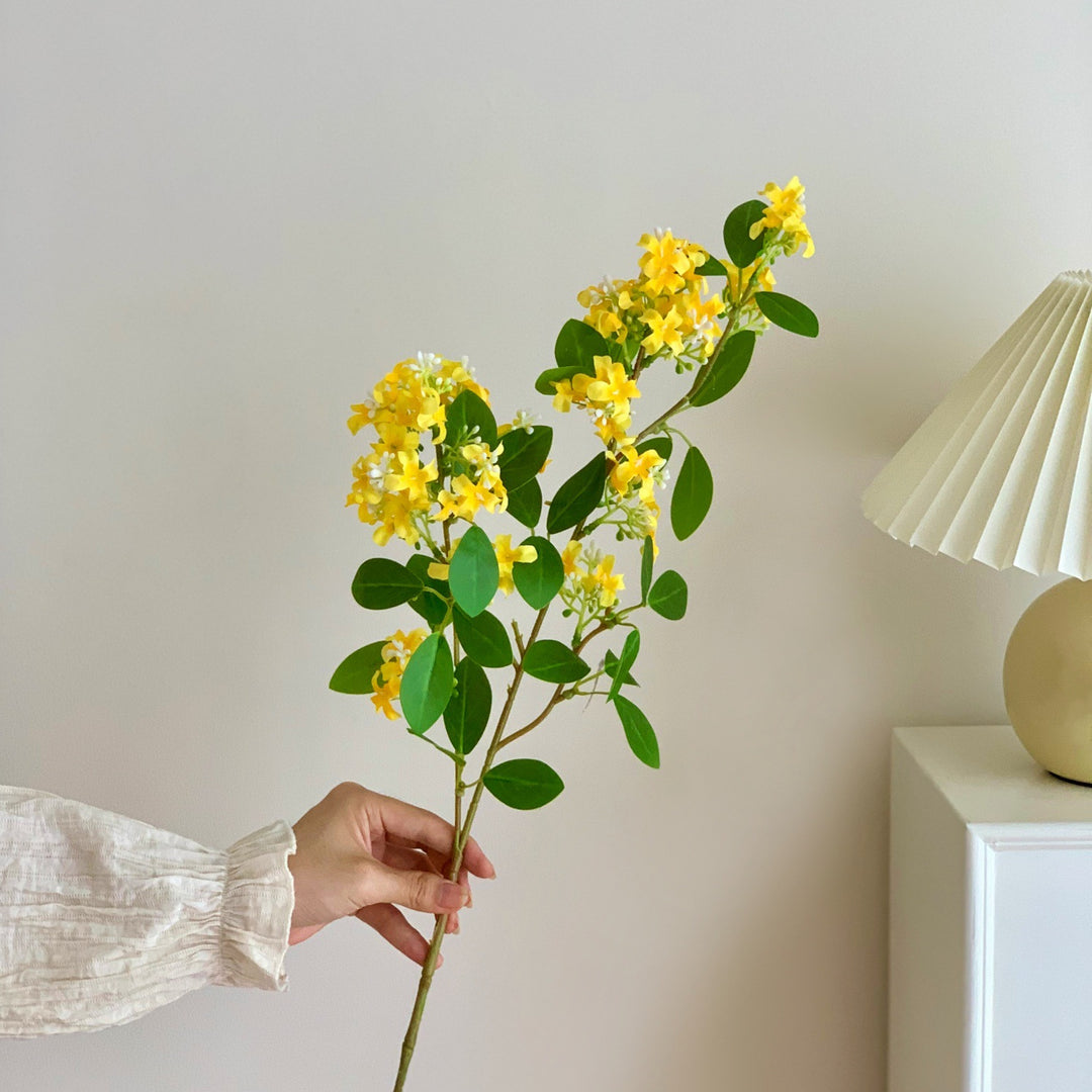Decoratieve Botanische Tak Arrangement