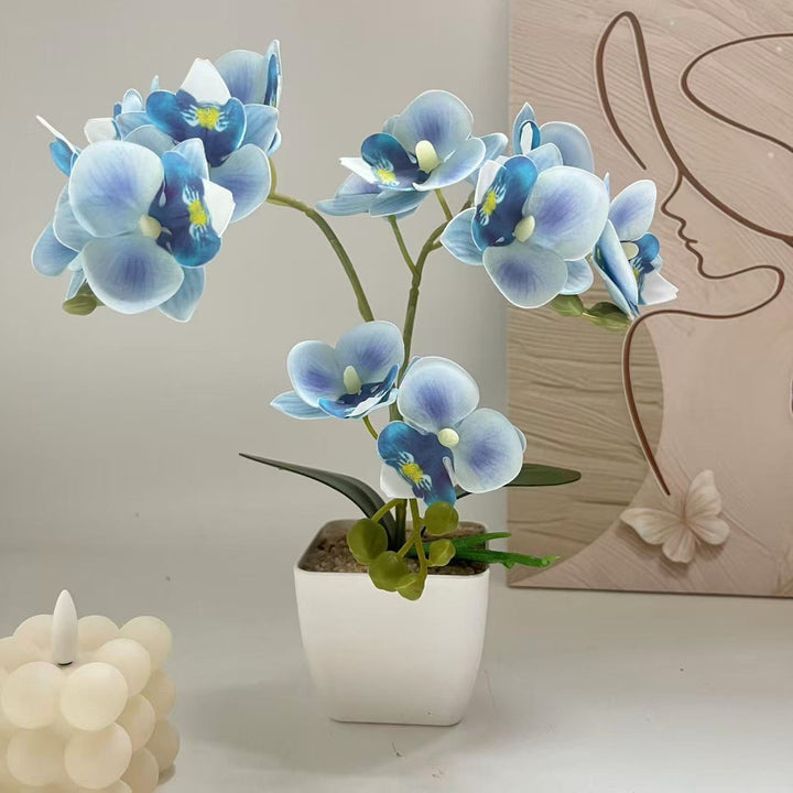 Levensechte Orchidee Plant Arrangement voor Thuisdecoratie