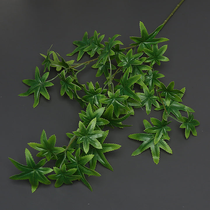 Decoratieve Groene Klimplant voor Binnenhuisdecoratie