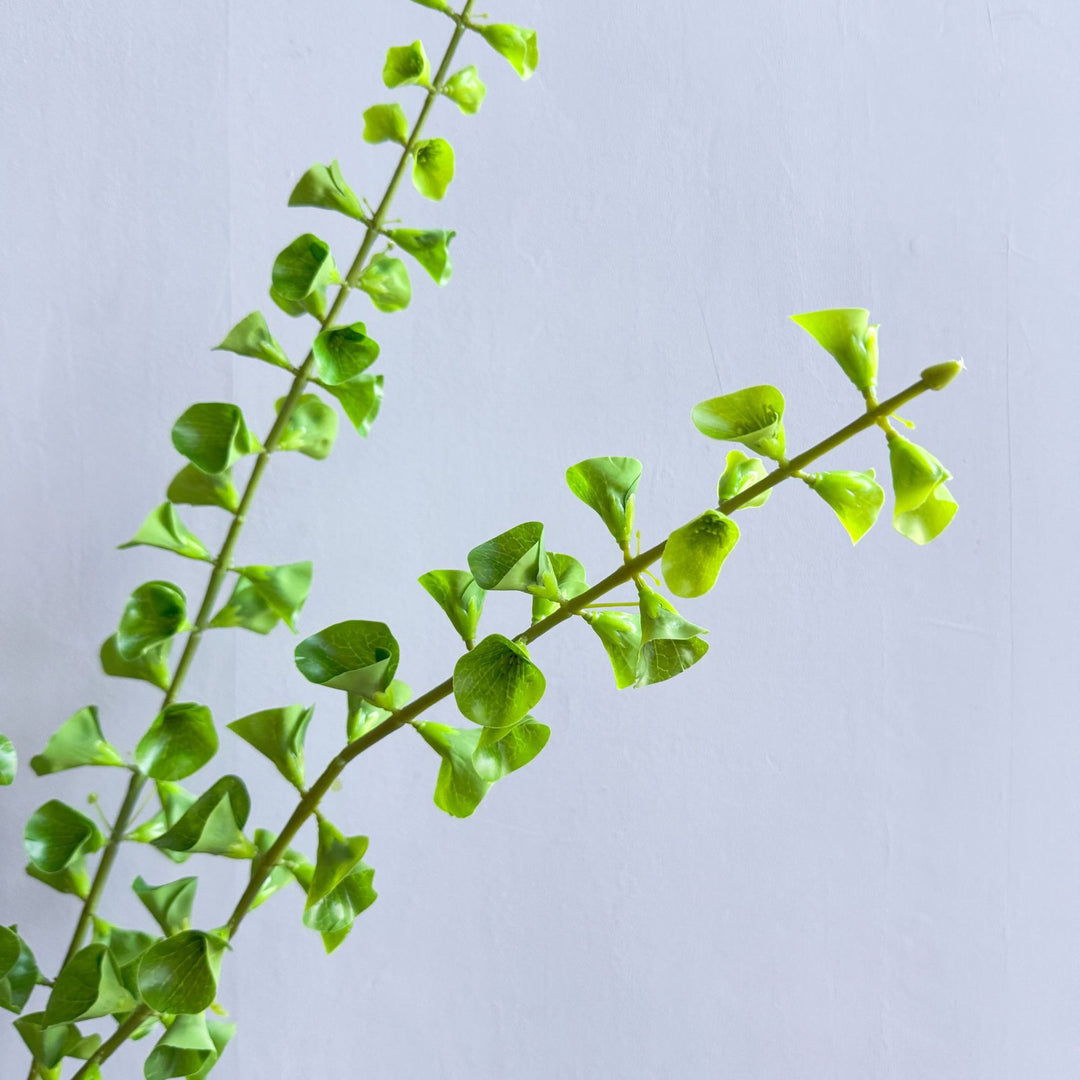 Stijlvolle Binnenplant Decor
