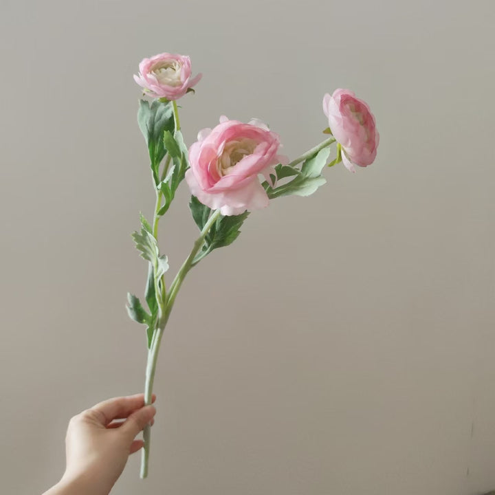 Levensechte Ranunculus Bloemsteel