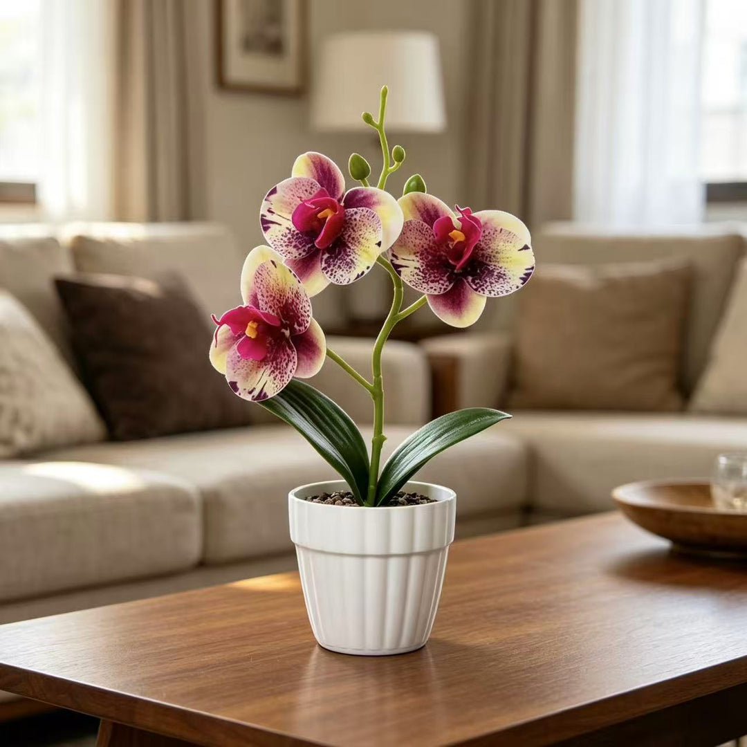 Decoratieve Kunstmatige Orchideeënarrangement voor Decoratieve Thuisdisplay