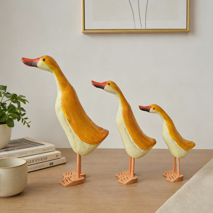 Decoratieve Eend Beeld Accent
