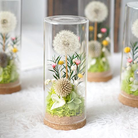 Decoratieve Paardenbloem Display