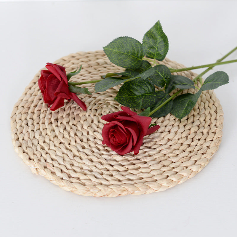 Decoratieve Realistische Rozenstelen