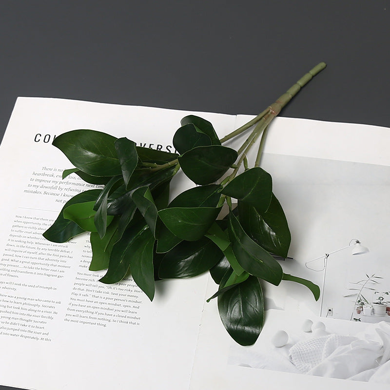 Realistische Groene Planten