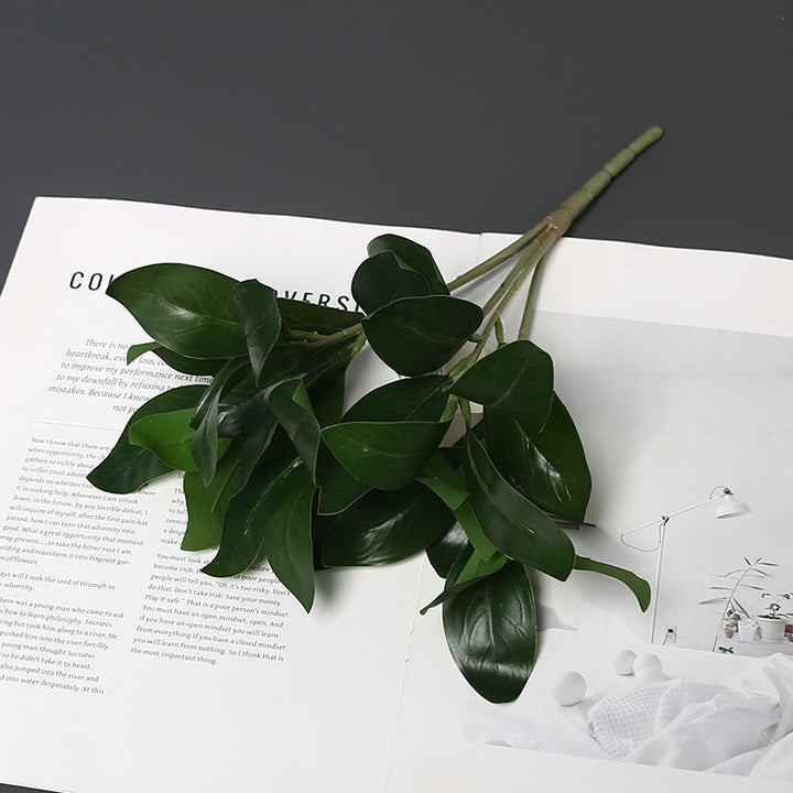 Realistische Groene Planten