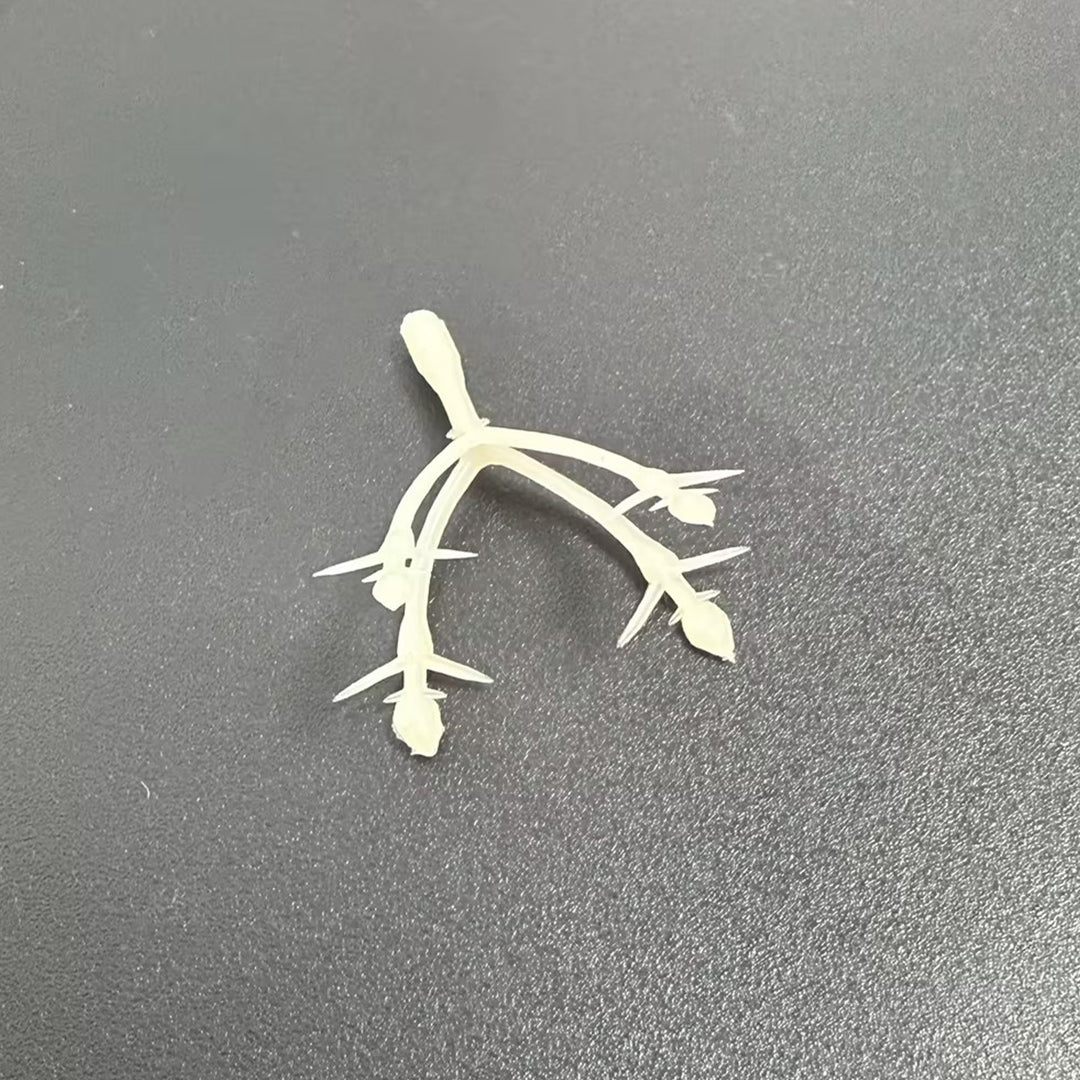 Decoratieve Nepplant Stengel