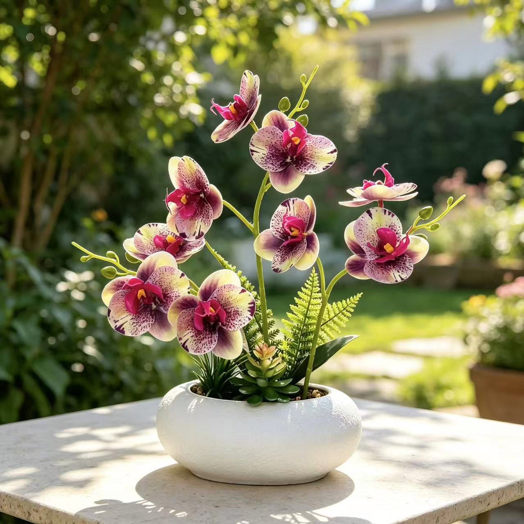 Decoratieve Neporchidee