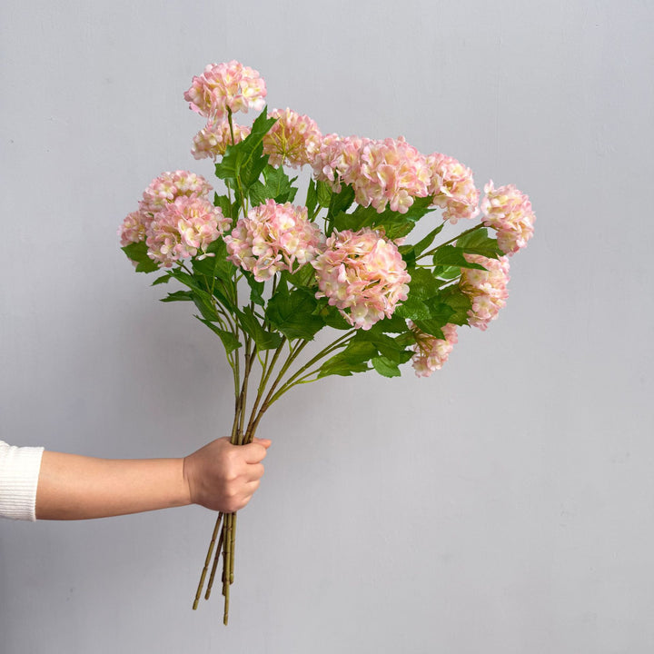 Decoratieve Hortensia Steel