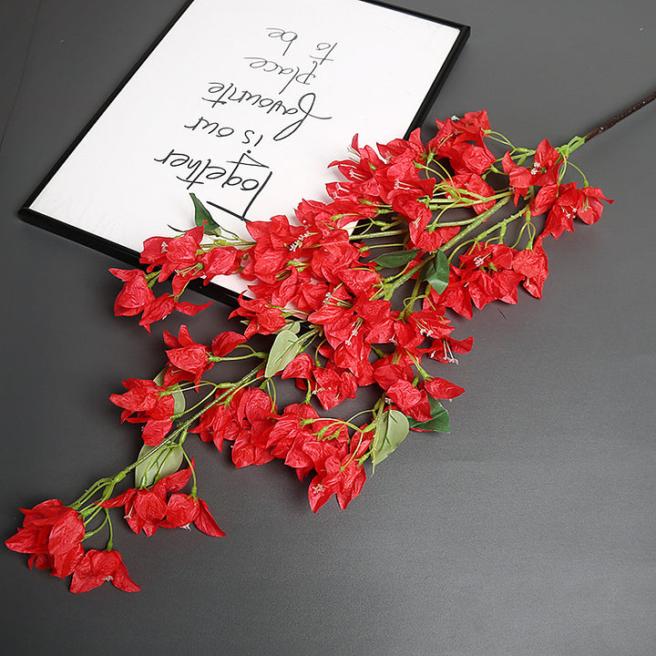 Bougainvillea Bloemenstam voor Thuisdecoratie Display
