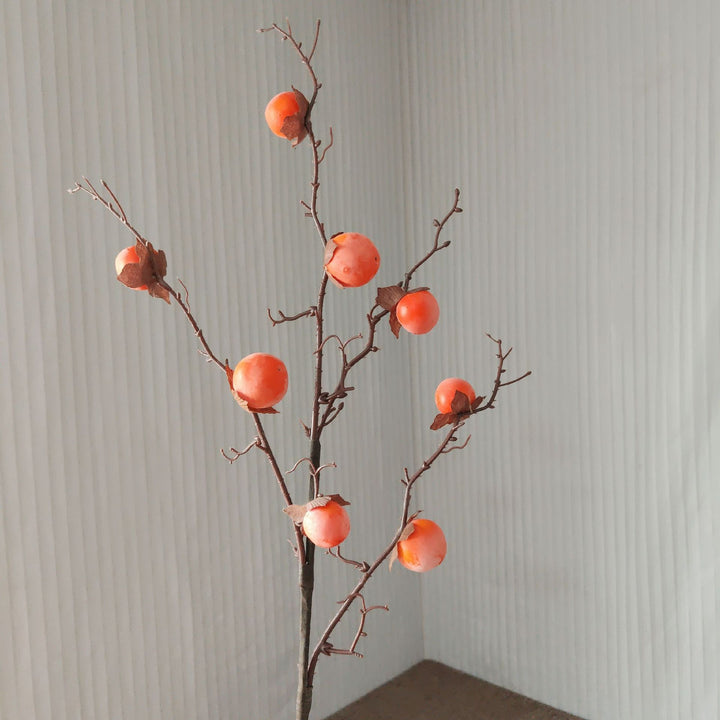 Decoratieve Herfst Fruithalm