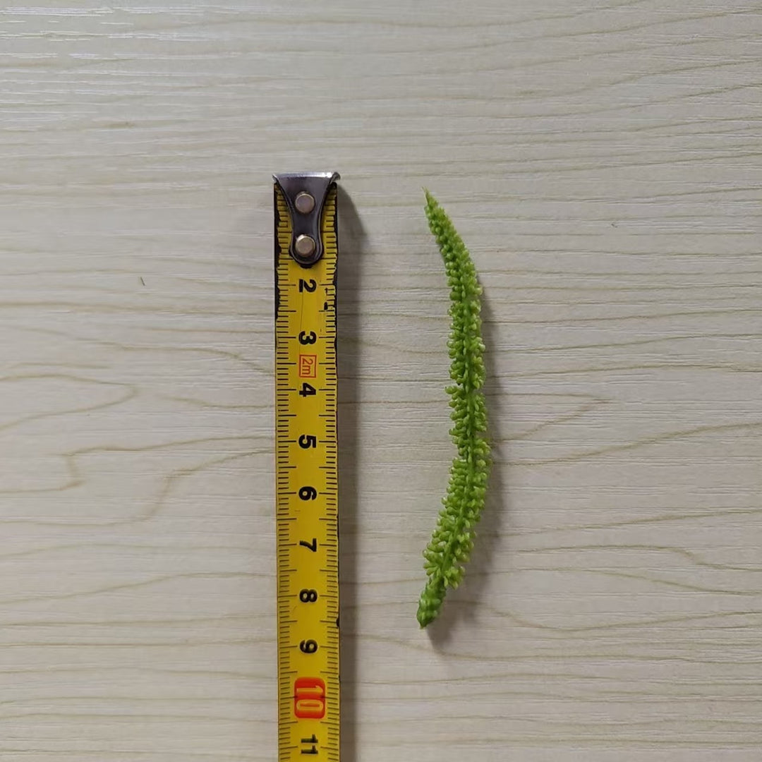 Decoratieve Groene Varensteel