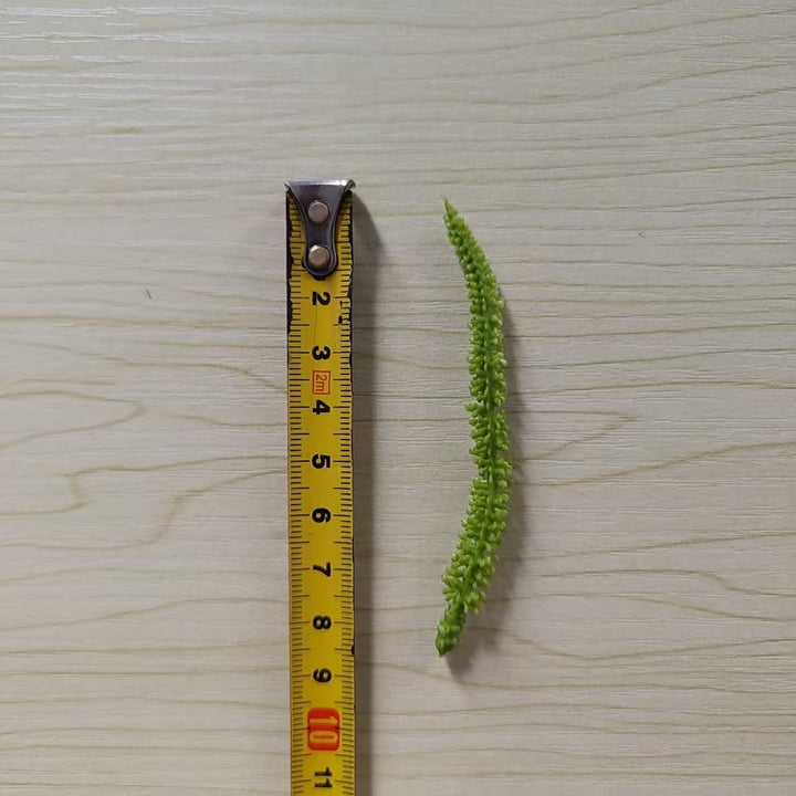 Decoratieve Groene Varensteel