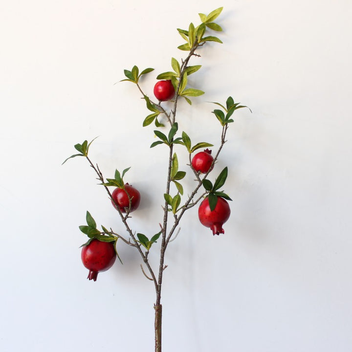 Granaatappel Decoratieve Tak