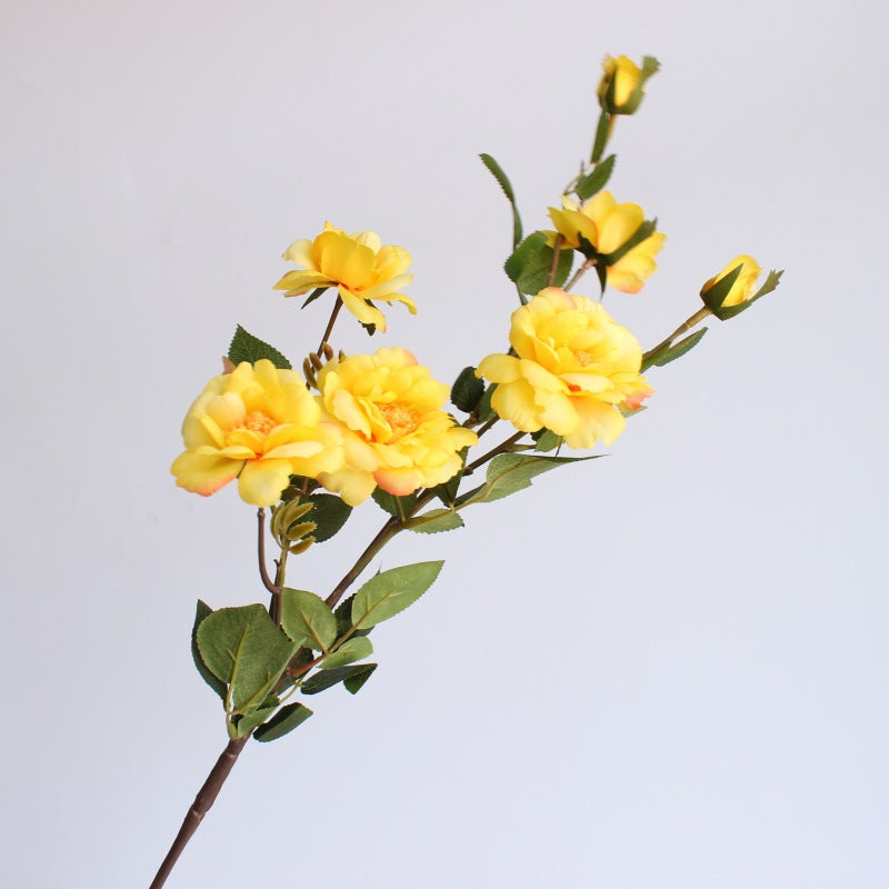 Levensgrote Bloemen Rozensteel