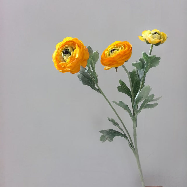 Realistische Ranunculus Bloemensteel