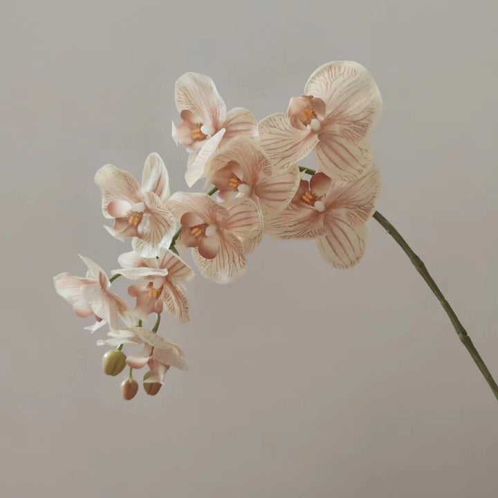 Realistische Orchidee Bloem Steel