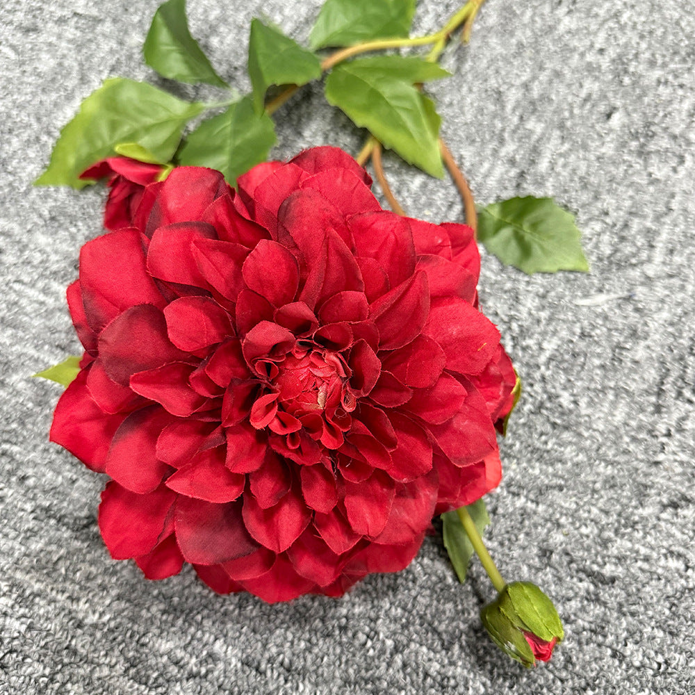 Exquise Nep-Dahlia Bloemsteel