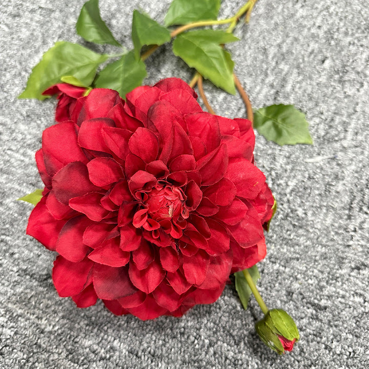 Exquise Nep-Dahlia Bloemsteel